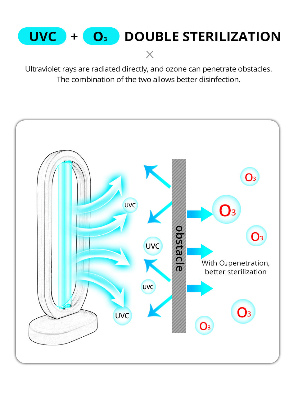 UV Ozone Disinfection Lam