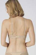  Soft model 230216 Triumph 