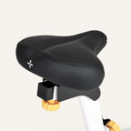 Heimtrainer | Tiefer Einstieg | 24 Computer gesteuerte Widerstandsstufen | bis 260 W | App-kompatibel